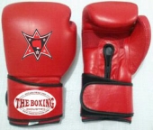 Boxing Gloves 